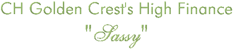click here for Sassy