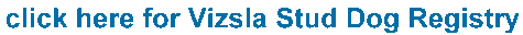 click here for Vizsla Stud Dog Registry