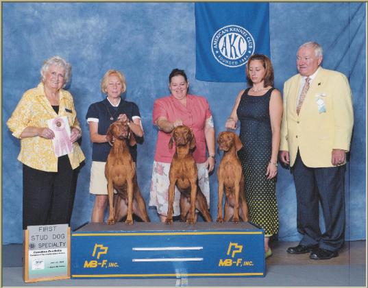 Duke  ~  Handled By Owner:  Paula Murphy, Folsom  ~  Handled By:  Nancy Edmunds, Sandy  ~  Handled By:  Rachael Murphy