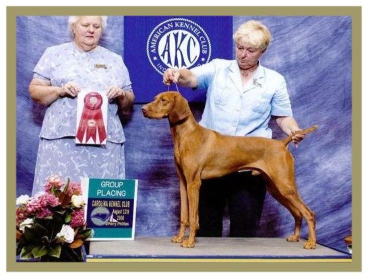 Duke  ~  Handled By:  Patty Crowley