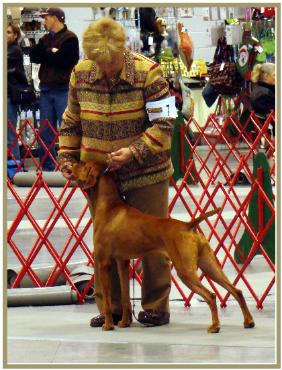 Duke  ~  Handled By:  Patty Crowley