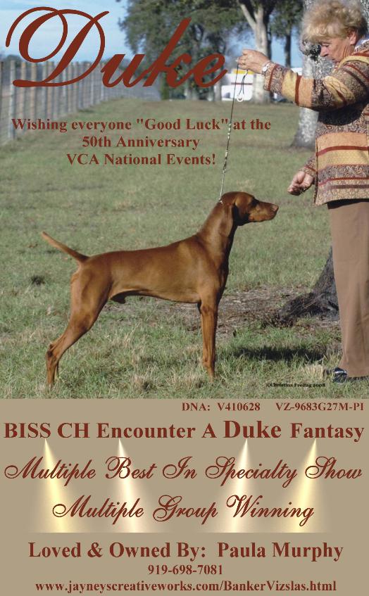 click here for M-BISS CH Encounter A Duke Fantasy