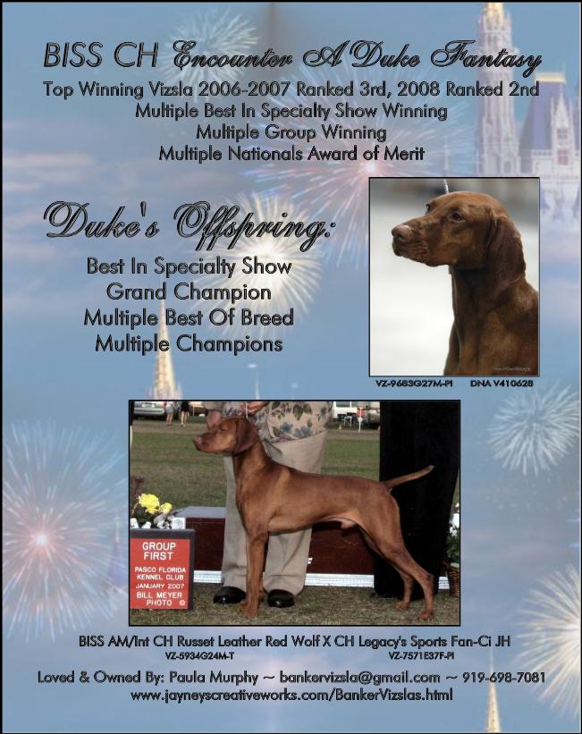 click here for M-BISS CH Encounter A DUKE Fantasy