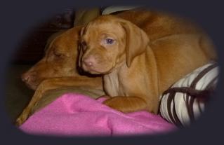 Brandi with her Puppy Sophie