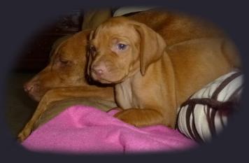 Brandi with her Puppy Sophie
