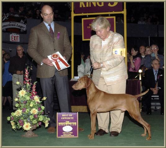 Duke  ~  Handled By:  Patty Crowley