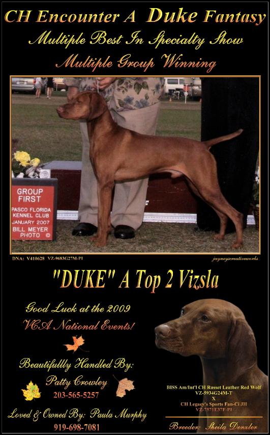 click here for M-BISS CH Encounter A Duke Fantasy