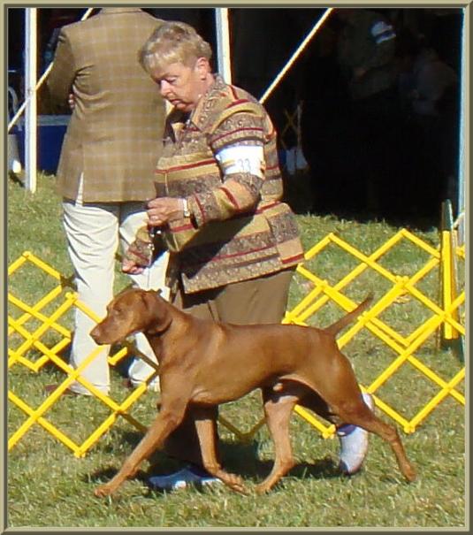 Duke  ~  Handled By:  Patty Crowley