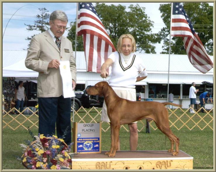 Duke  ~  Handled By Owner:  Paula Murphy