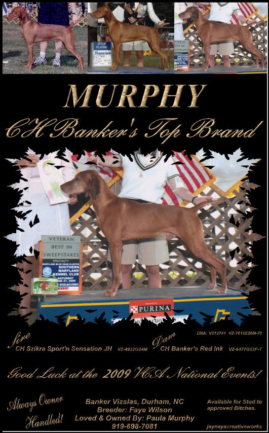 click here for CH Banker's Top Brand