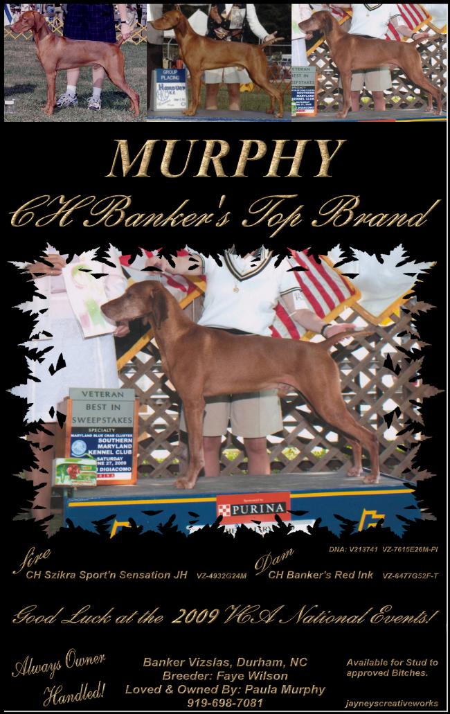 click here for CH Bankers Top Brand  ~  Murphy