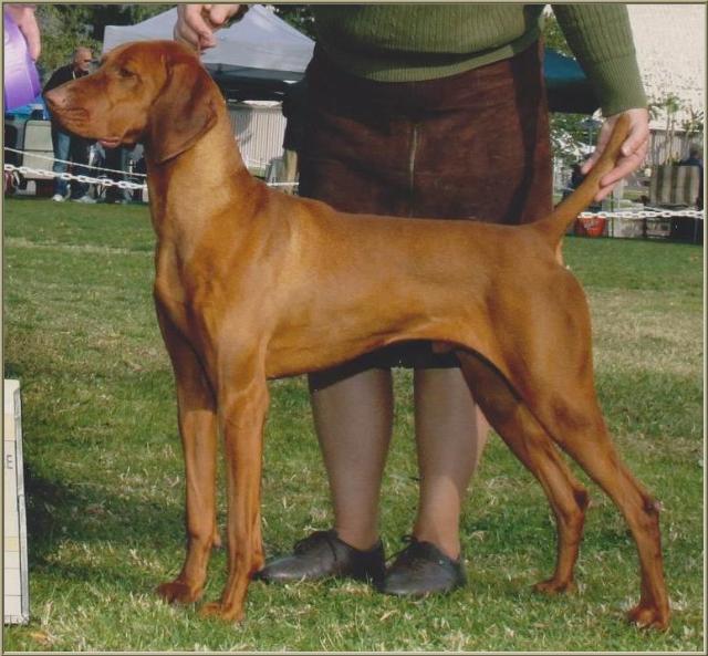 Percy
