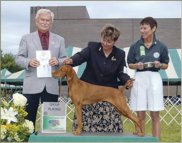 Belle  ~  Breeder/Owner/Handler:  Patty Crowley
