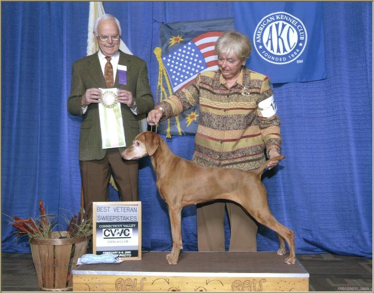 Belle  ~  Breeder/Owner/Handler:  Patty Crowley