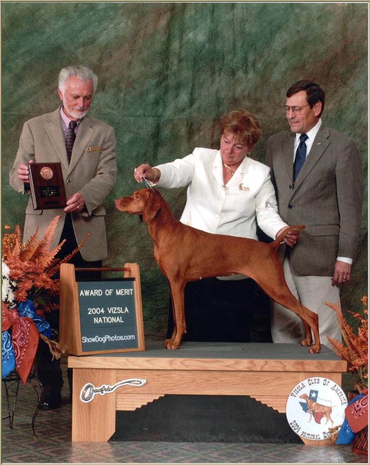 Belle  ~  Breeder/Owner/Handler:  Patty Crowley