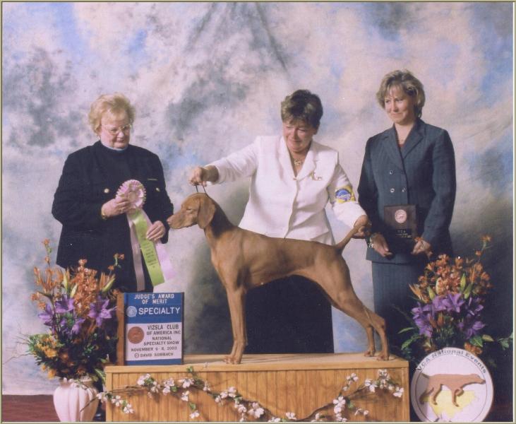 Belle  ~  Breeder/Owner/Handler:  Patty Crowley