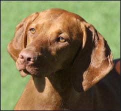 click here for Serenity's Saving the Best for Last (Sophie)
