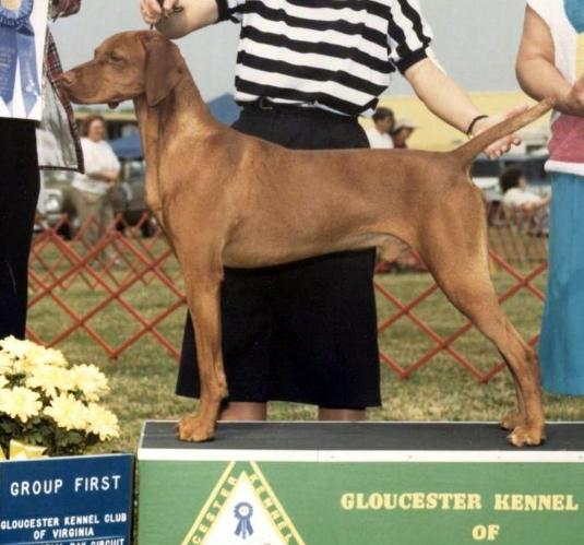 click here for Banker