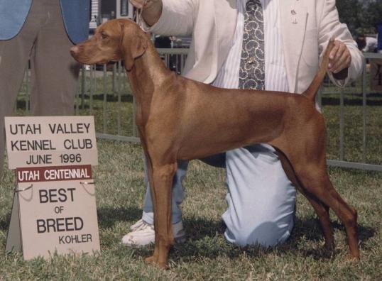 Click here for Binky