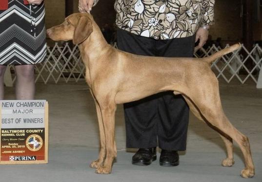 click here for Broker