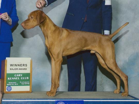 click here for Butler