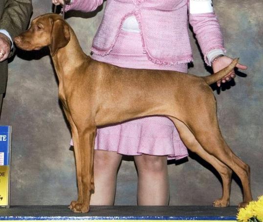 click here for Sophie