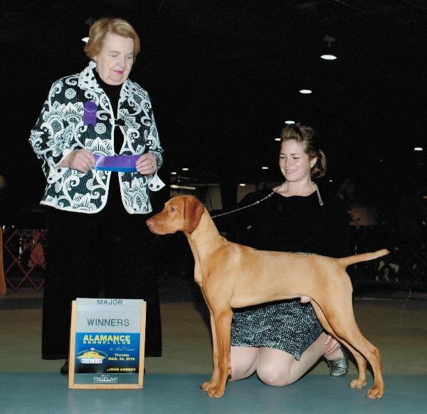 click here for Dinger