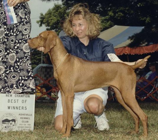 click here for Karat