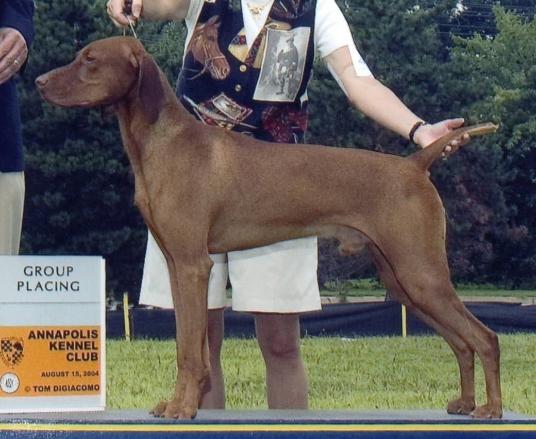 click here for Murphy