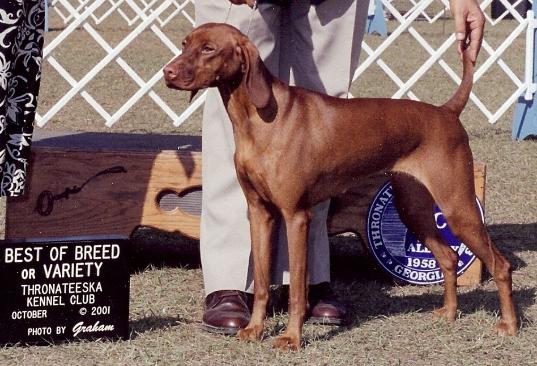 click here for Peaches