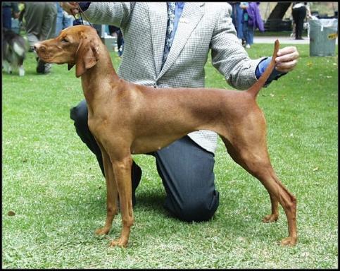 click here for Sarah