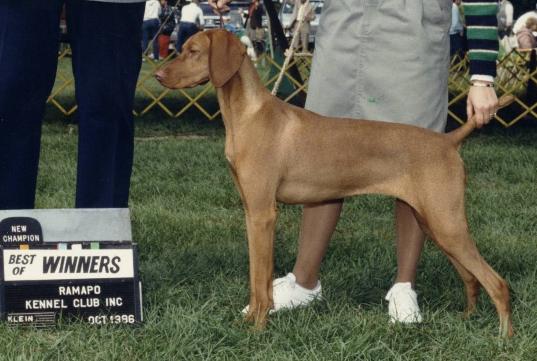 click here for Sassy