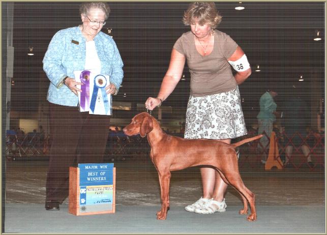 Sandy  ~  Handled By:  Beth Kirven