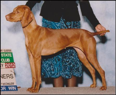 Serenity's Saving the Best for Last (Sophie)