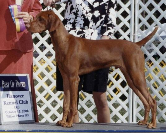 click here for Wilson